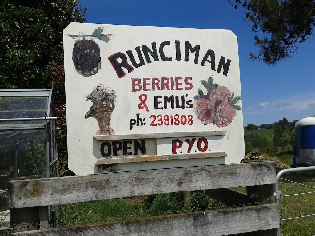 Runciman Berries And Emus B&B Ramarama Bagian luar foto