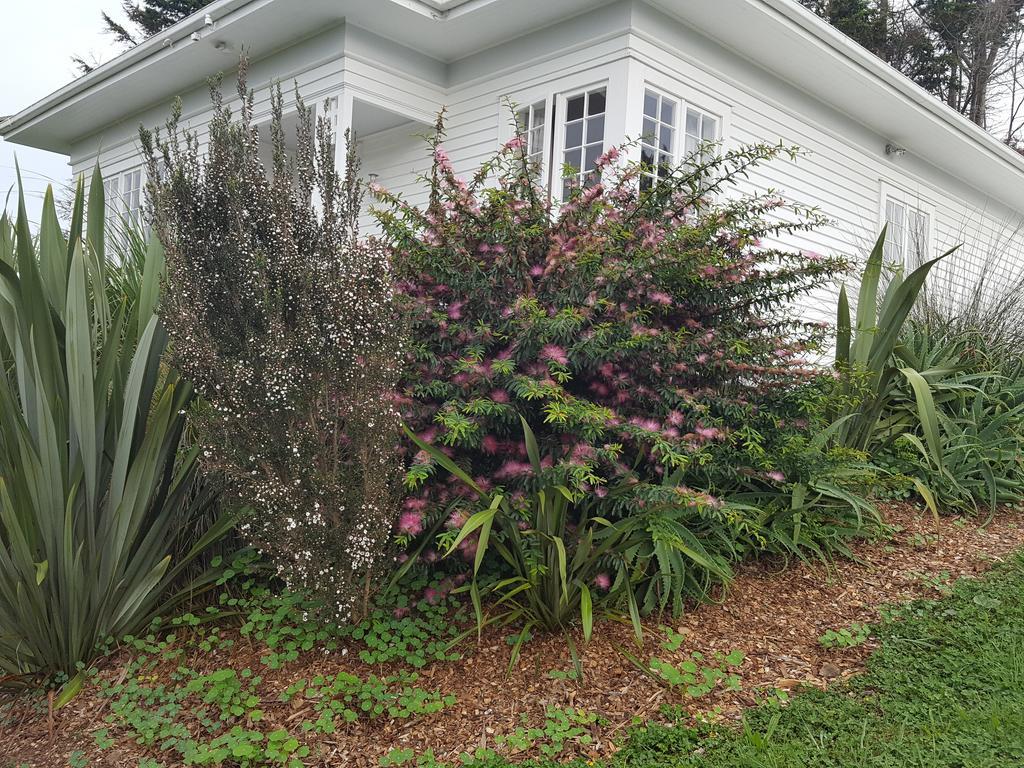Runciman Berries And Emus B&B Ramarama Ruang foto