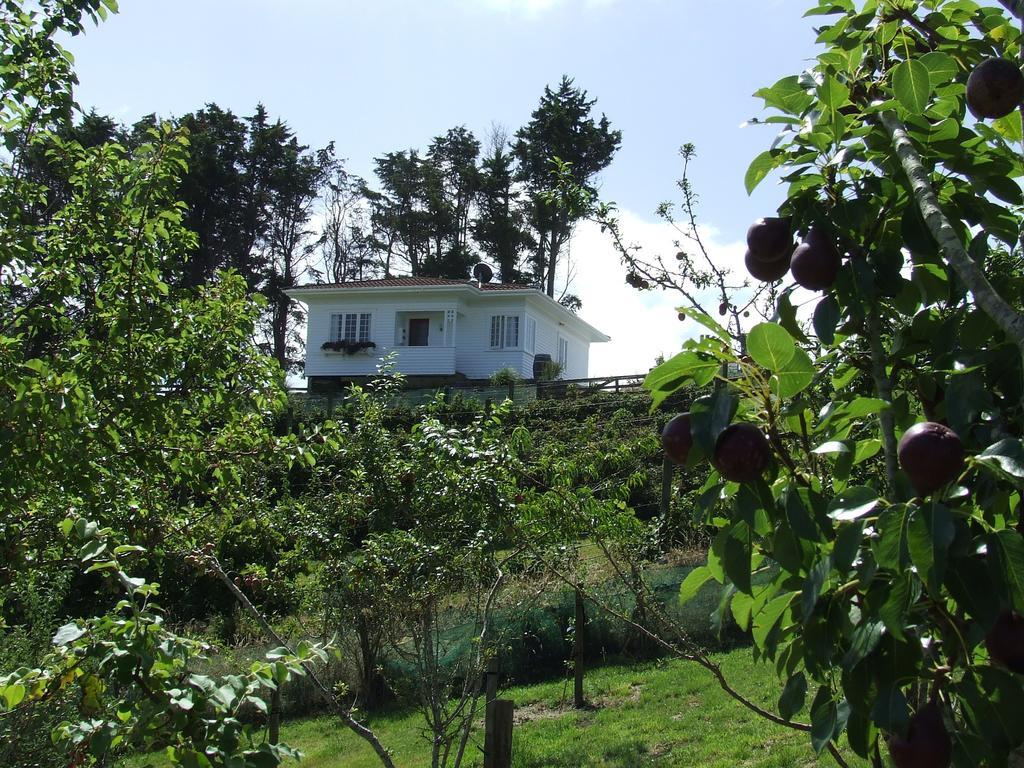Runciman Berries And Emus B&B Ramarama Bagian luar foto