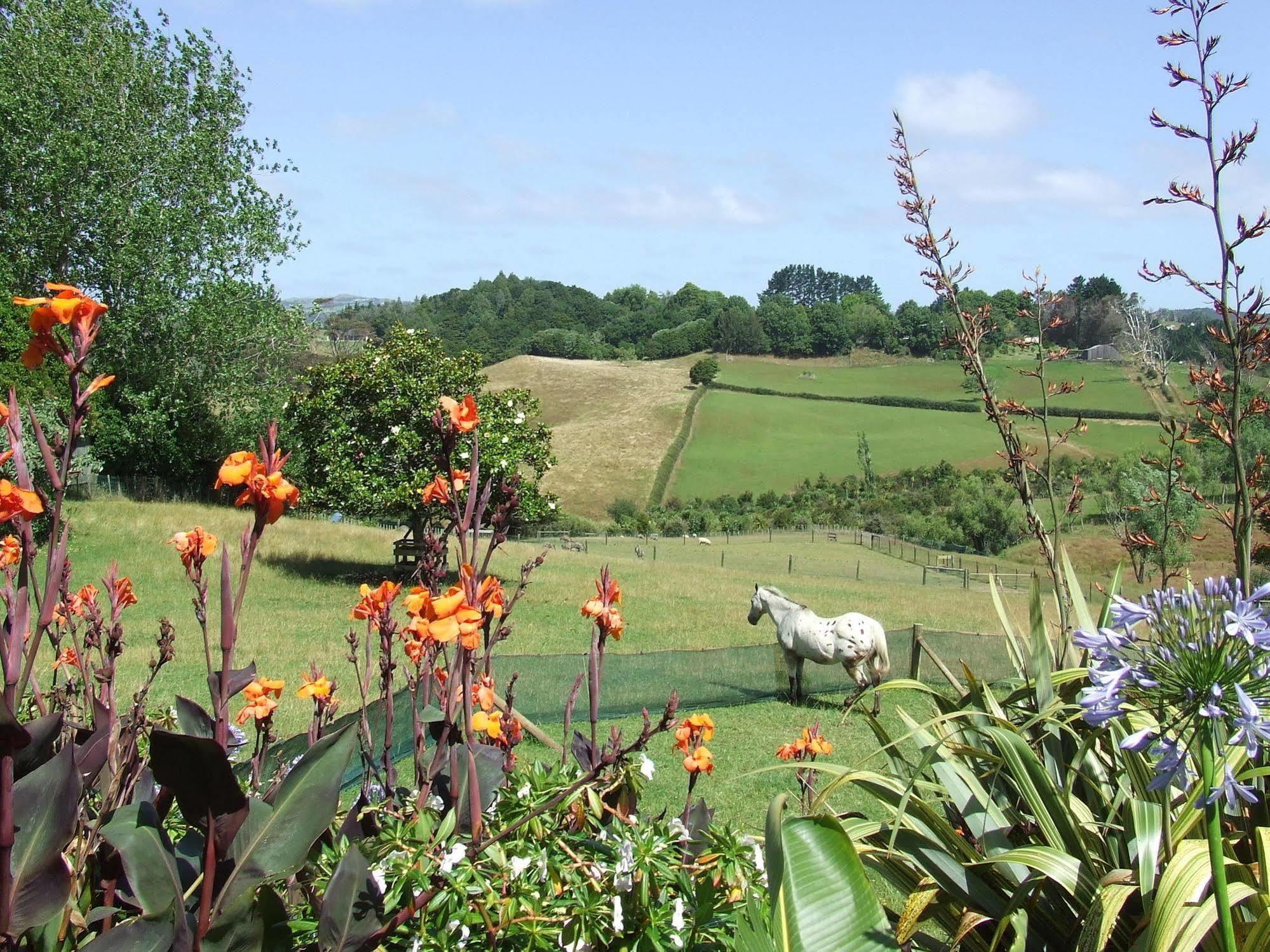 Runciman Berries And Emus B&B Ramarama Bagian luar foto