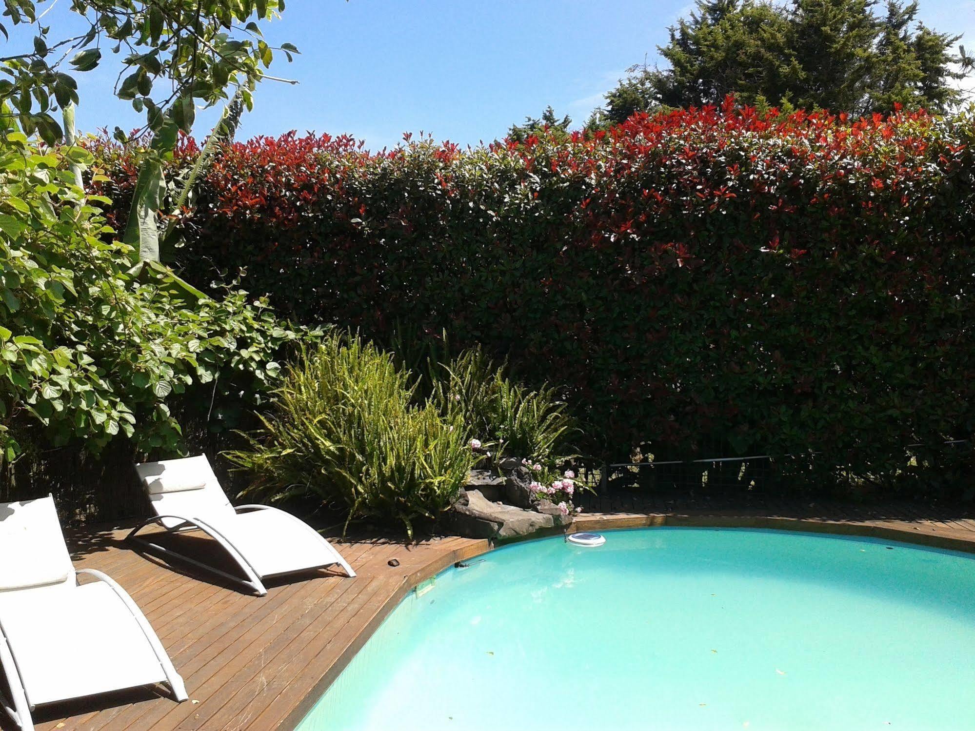 Runciman Berries And Emus B&B Ramarama Bagian luar foto