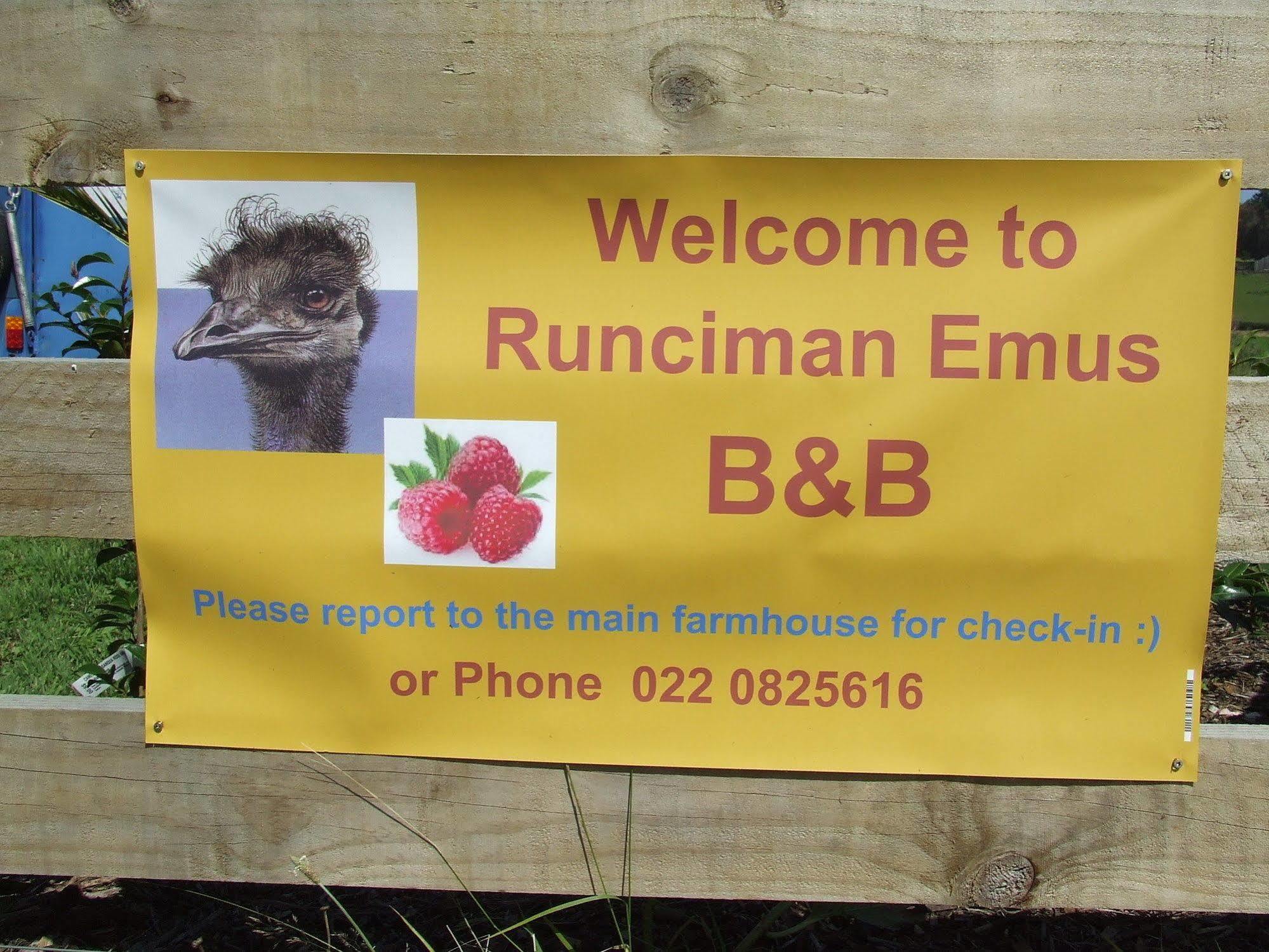 Runciman Berries And Emus B&B Ramarama Bagian luar foto